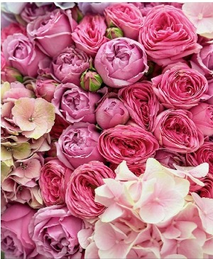 Designer's Choice Shades of Pink Arrangement