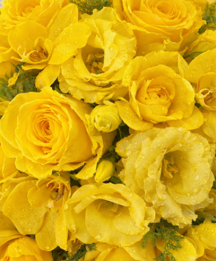 Designer's Choice Shades of Yellow Arrangement