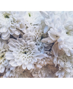 Designers' Choice- White FC-W