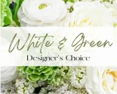 Designers Choice  Whites & Green 