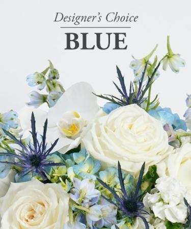 Blue Designer's Choice 