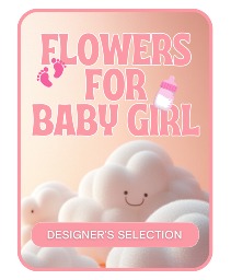 Designer's Selection Baby Girl Flower Arrangement