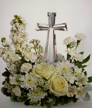 Divine Peace Sympathy 