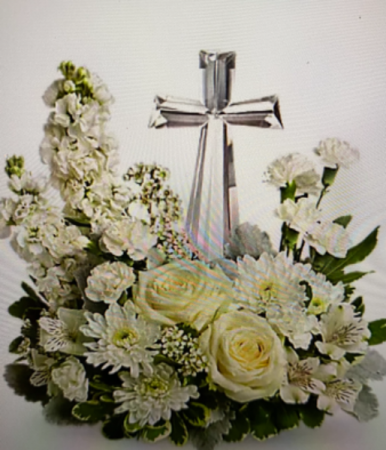 Divine Peace Sympathy 
