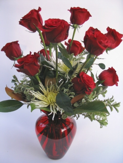 Devotion Red Roses