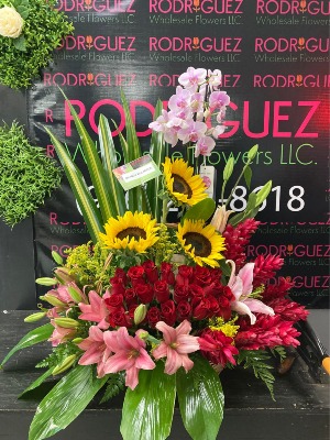 DISENO DE 24 ROSAS  