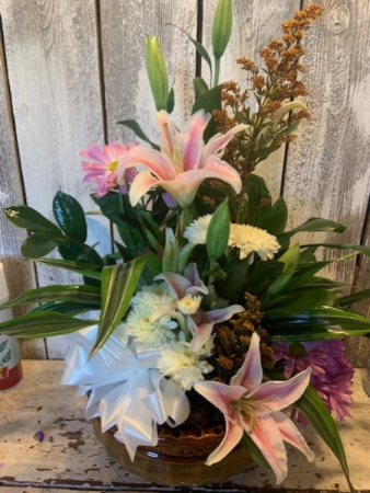 Dish Garden accented with cut flowers