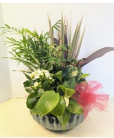 Ceramic Dish Garden   C1 NFS-DGC93