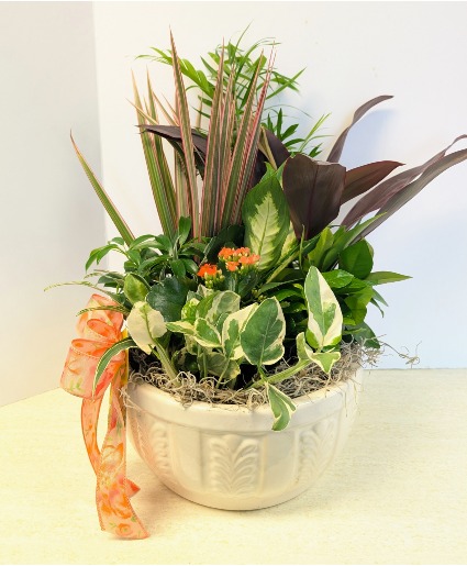 SOLD  Ceramic Dish Garden   C1 NFS-DGC90