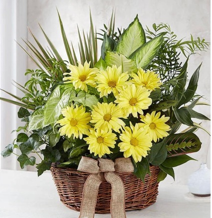 Dish Garden & Fresh Cut Blooms 