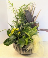 Ceramic Dish Garden  C2 NFS-DGC90