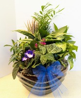 Ceramic Dish Garden  C1 NFS-DG115        