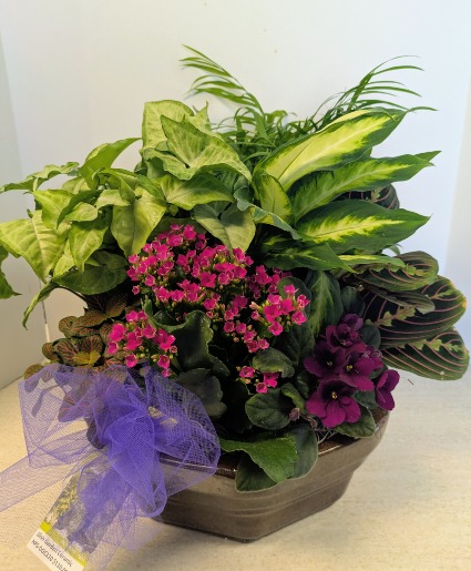 SOLD - Ceramic Dish Garden  2 NFS-DG110    