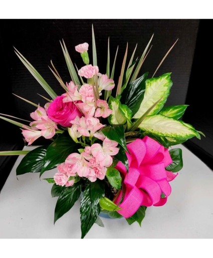 Dish Garden Plants with fresh cut flowers 
