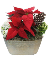 Holiday Garden 11" Mixed Planter
