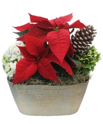 Holiday Garden 11" Mixed Planter