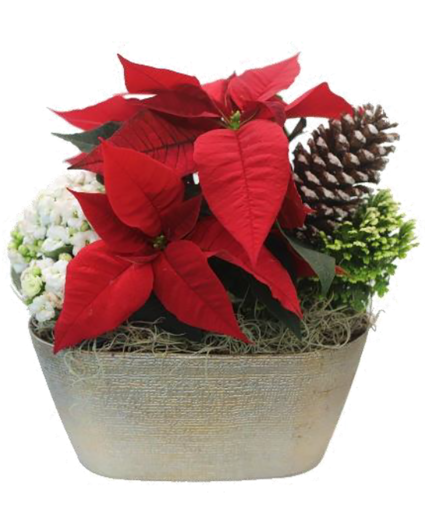 Holiday Garden 11" Mixed Planter