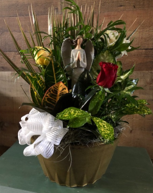 Dish Garden with Angel 