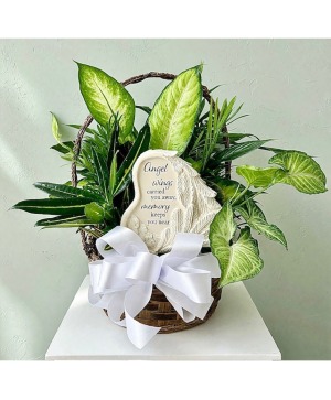 Dish garden with Angel wing plaque 