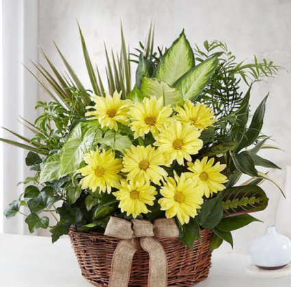 Dish Garden with fresh cut flowers 