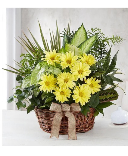 Dish Garden With Fresh Cut Flowers For Sympathy 
