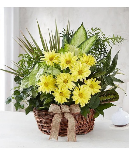 Dish Garden With Fresh Cut Flowers PLANT