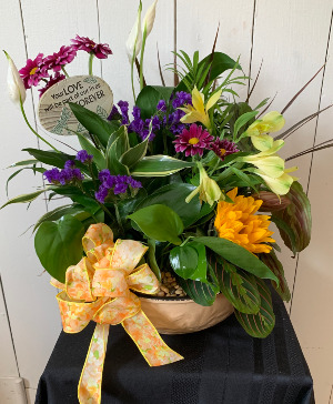 Dish Garden with fresh cuts 