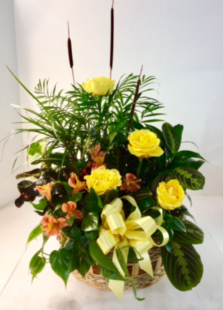 Dish Garden With Fresh Flowers 