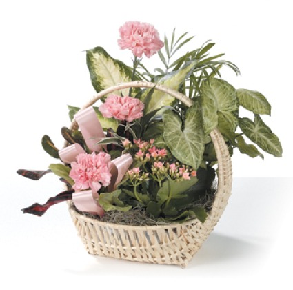 Dish Garden with Fresh Flowers 