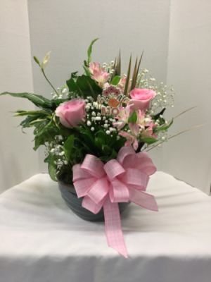 Dish garden with fresh flowers Plant