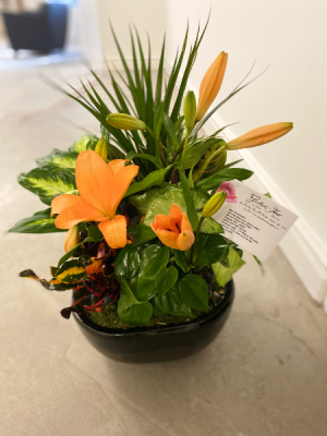Dish Garden with Freshcut Flowers 
