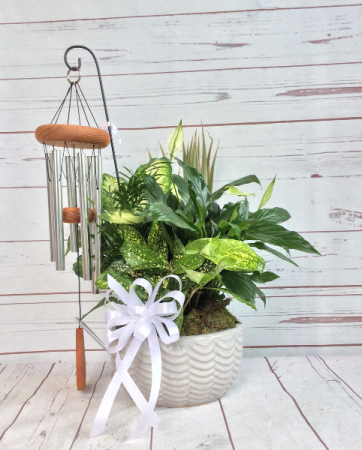 Dish Garden With Windchime 