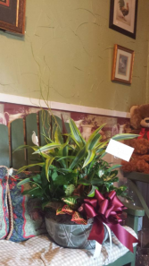 Dish Garden/Ceramic  $78.95, $88.95 $110.95