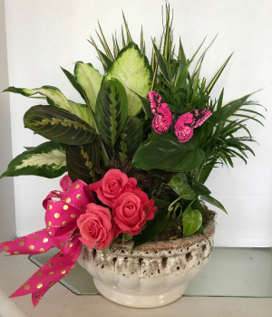 dishgarden with fresh cuts 