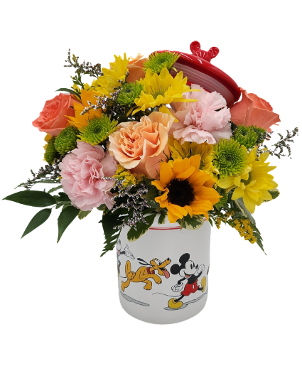 Disney Spring Dream 