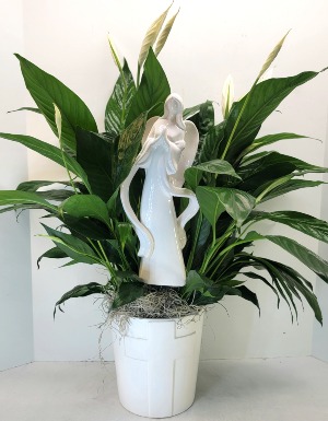 Divine Comfort Peace Lily With Angel In Cross Pot