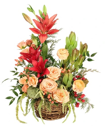 Divine Decadence Basket Arrangement  in Hallstead, PA | Wee Bee Flowers