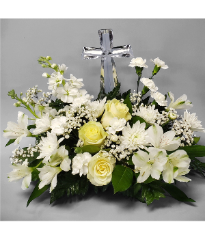 DIVINE LIGHT CF-DIVINE