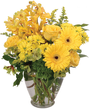 Divinely Golden Flower Arrangement in Media, PA | SM Florist Media PA