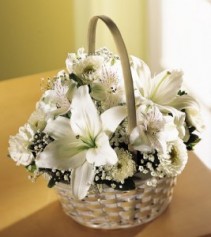 Divinity Basket 