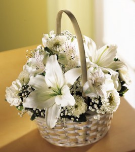 Divinity Basket 