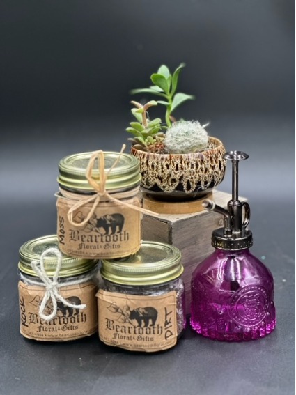DIY Succulent Kit  Custom Original