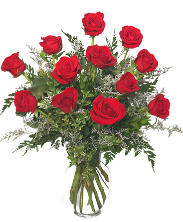 DOCENA DE ROSAS CLASICAS Arreglo de Rosas Rojas in Albany, NY | Ambiance Florals & Events
