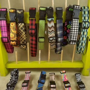 Dog Collars 