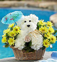 Dog Day in the Florida Sun Perfect  Gift for a Floridian! in Gainesville, FL | PRANGE'S FLORIST- Sara & Lilli V