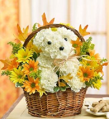 Dogable for Fall Basket in Gainesville, FL | PRANGE'S FLORIST- Sara & Lilli V