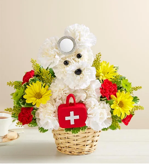 Doggie Doc - Get Well 