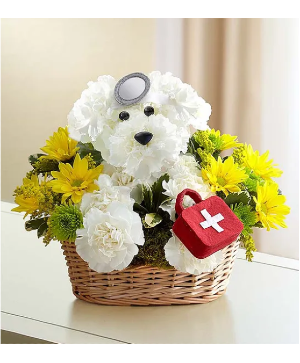 Doggie Howser M.D. 