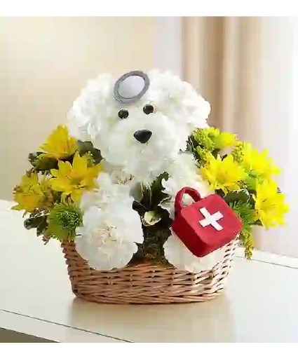 Doggie Howser M.D assorted flowers