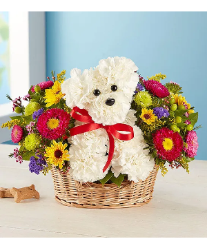 doggy basket   custom
